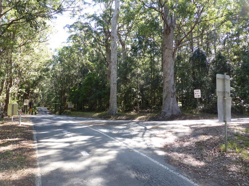 1932 Springbrook Road, Springbrook QLD 4213