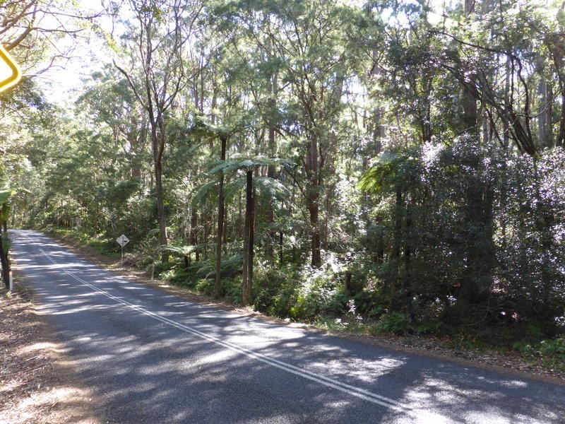 1932 Springbrook Road, Springbrook QLD 4213