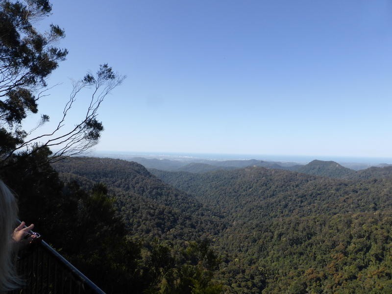 1932 Springbrook Road, Springbrook QLD 4213