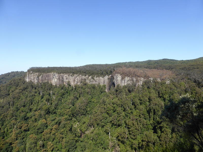 1932 Springbrook Road, Springbrook QLD 4213