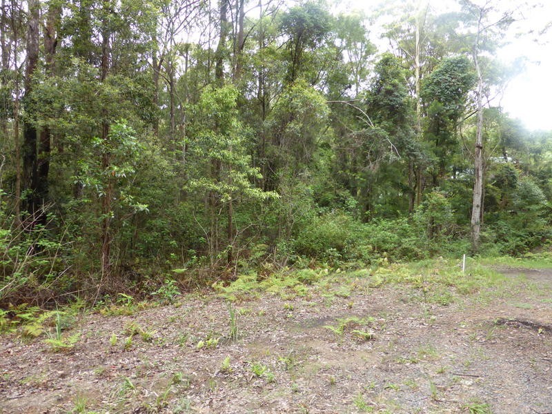 1939 Springbrook Road, Springbrook QLD 4213