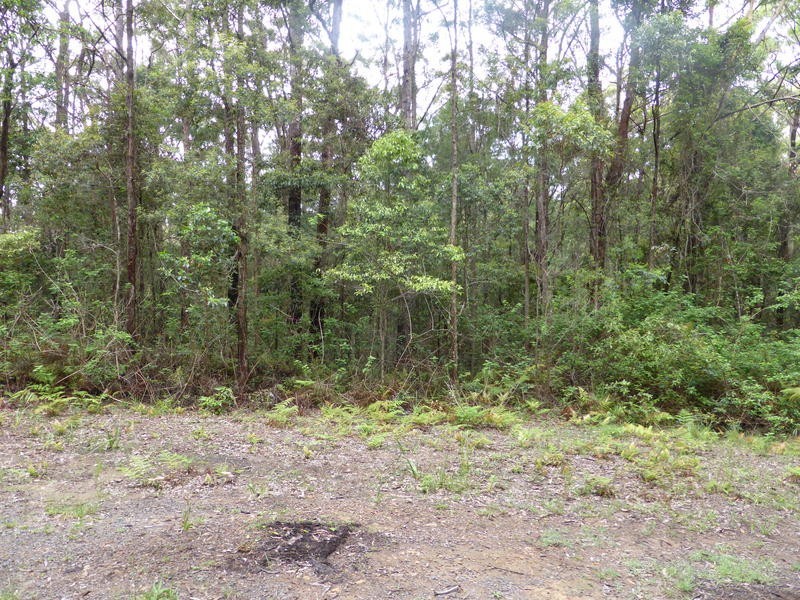 1939 Springbrook Road, Springbrook QLD 4213