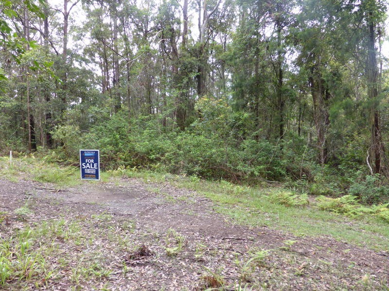 1939 Springbrook Road, Springbrook QLD 4213