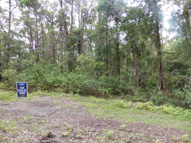 1939 Springbrook Road, Springbrook QLD 4213
