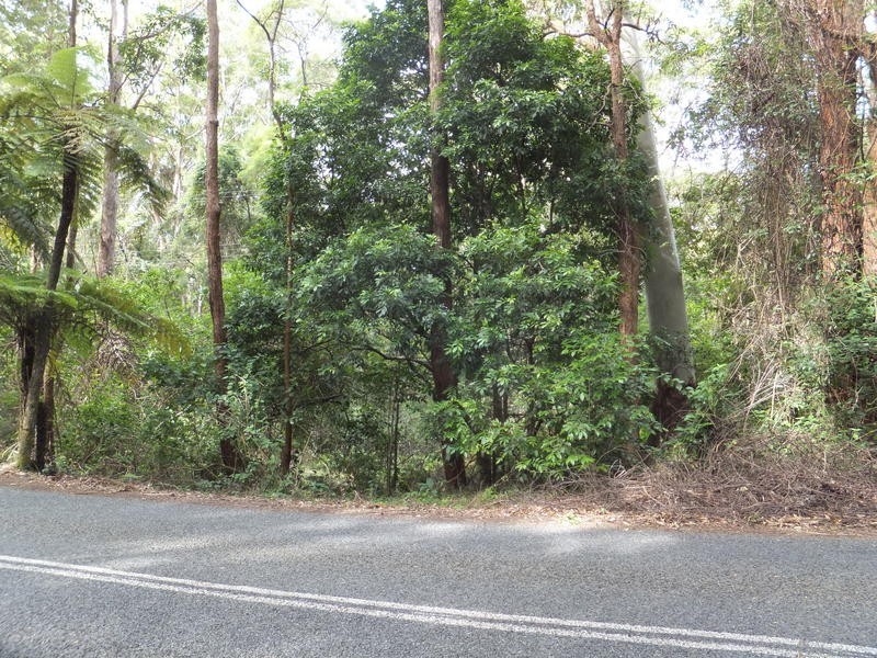 1943 Springbrook Road, Springbrook QLD 4213