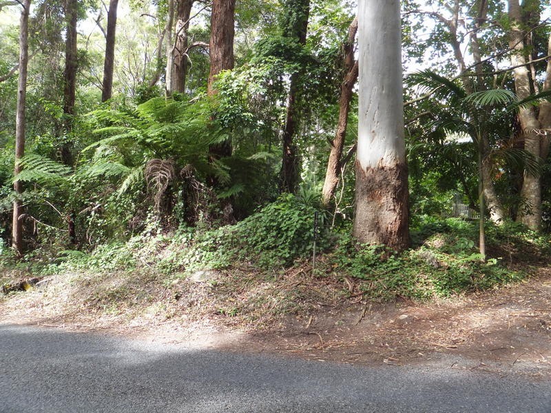 1943 Springbrook Road, Springbrook QLD 4213