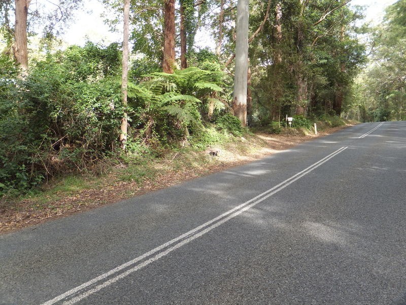 1943 Springbrook Road, Springbrook QLD 4213