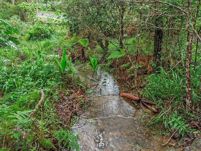 2283 Springbrook Road, Springbrook QLD 4213