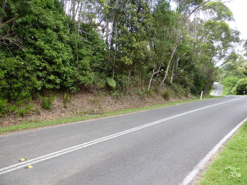 2378 Springbrook Road, Springbrook QLD 4213