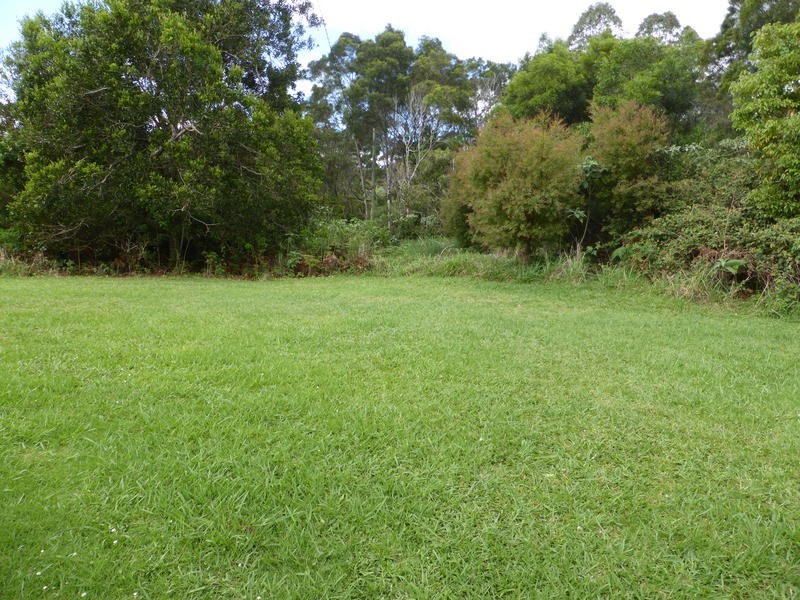 2378 Springbrook Road, Springbrook QLD 4213