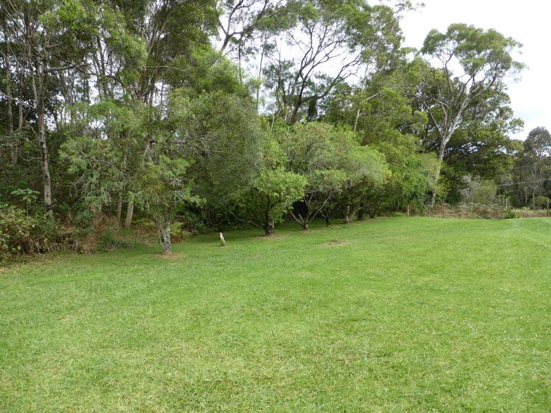 2378 Springbrook Road, Springbrook QLD 4213