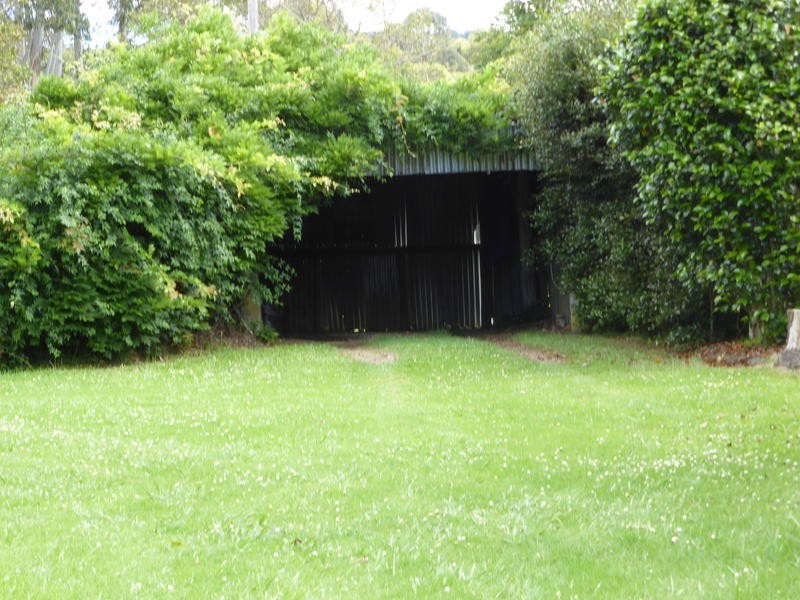 2378 Springbrook Road, Springbrook QLD 4213