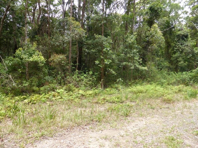 1935 Springbrook Road, Springbrook QLD 4213