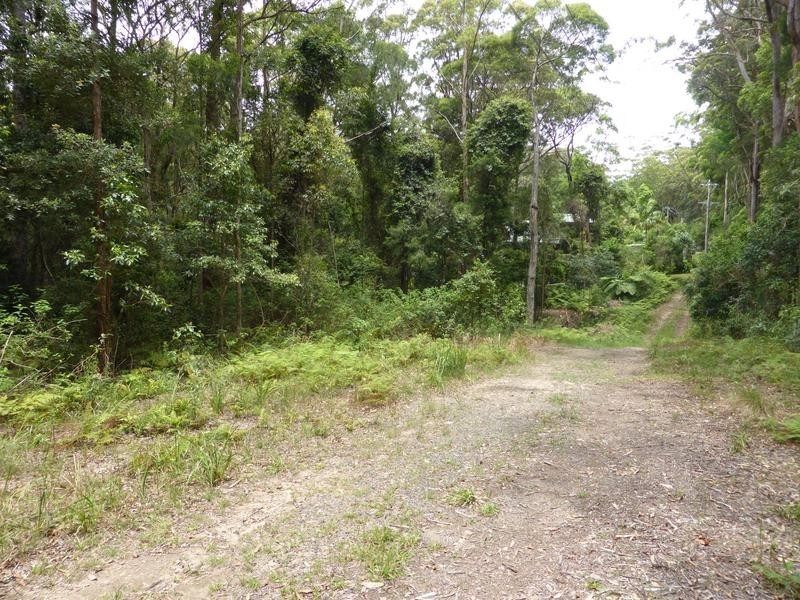 1935 Springbrook Road, Springbrook QLD 4213