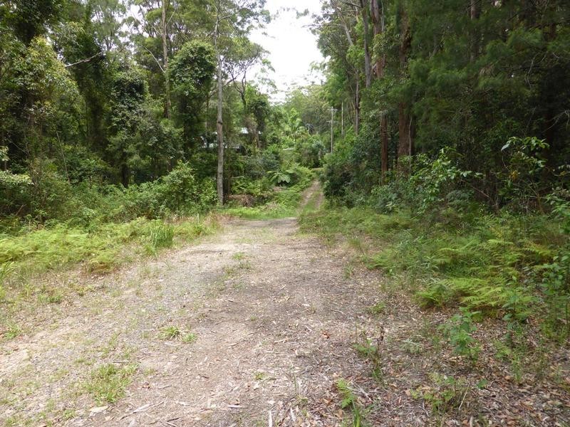 1935 Springbrook Road, Springbrook QLD 4213