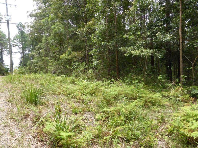 1935 Springbrook Road, Springbrook QLD 4213