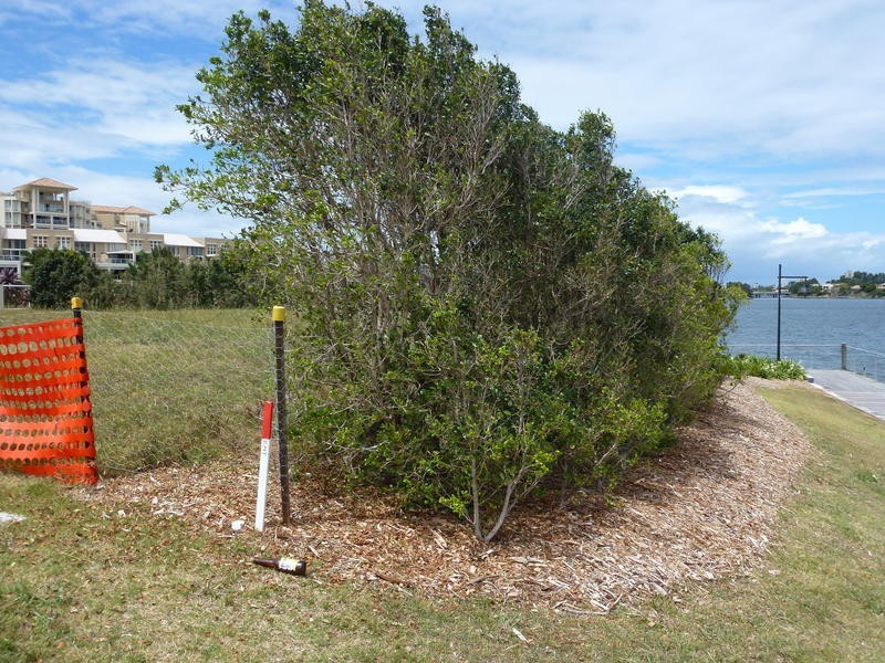 19 Watts Drive, Varsity Lakes QLD 4227