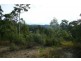 30 White Ash Road, Bonogin QLD 4213