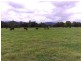 Beerwah QLD 4519