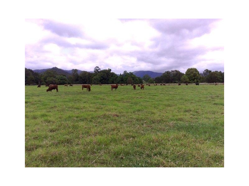 Beerwah QLD 4519