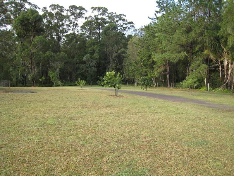 Palmwoods QLD 4555