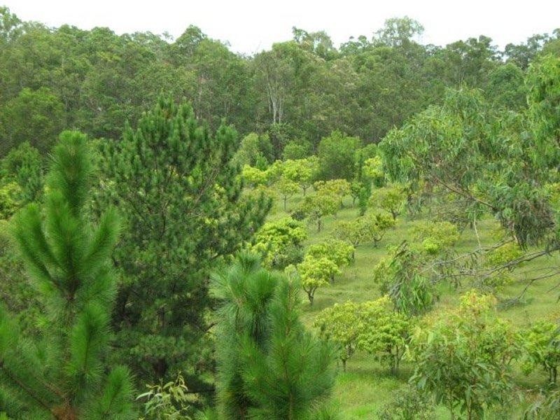 Landsborough QLD 4550