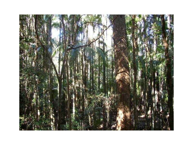 Mount Mellum QLD 4550