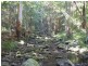 Delaneys Creek QLD 4514