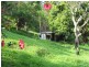 Mooloolah Valley QLD 4553