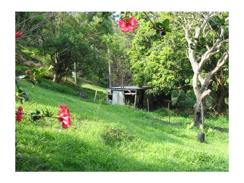 Mooloolah Valley QLD 4553