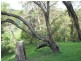 Mooloolah Valley QLD 4553