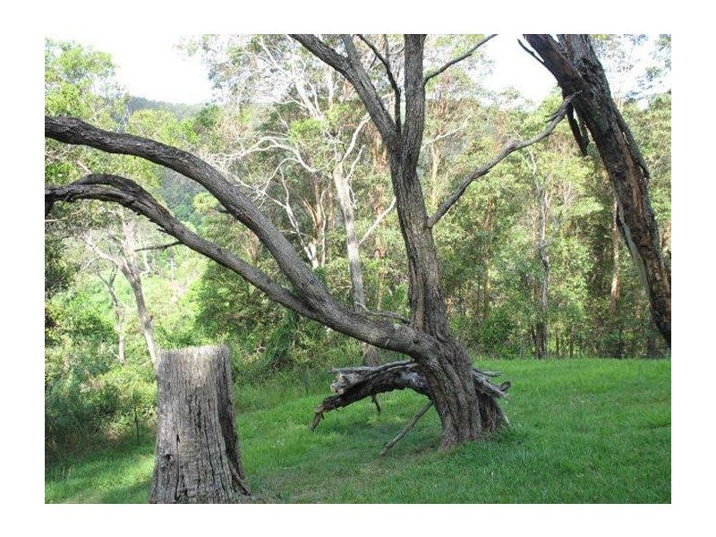 Mooloolah Valley QLD 4553