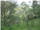 Mooloolah Valley QLD 4553