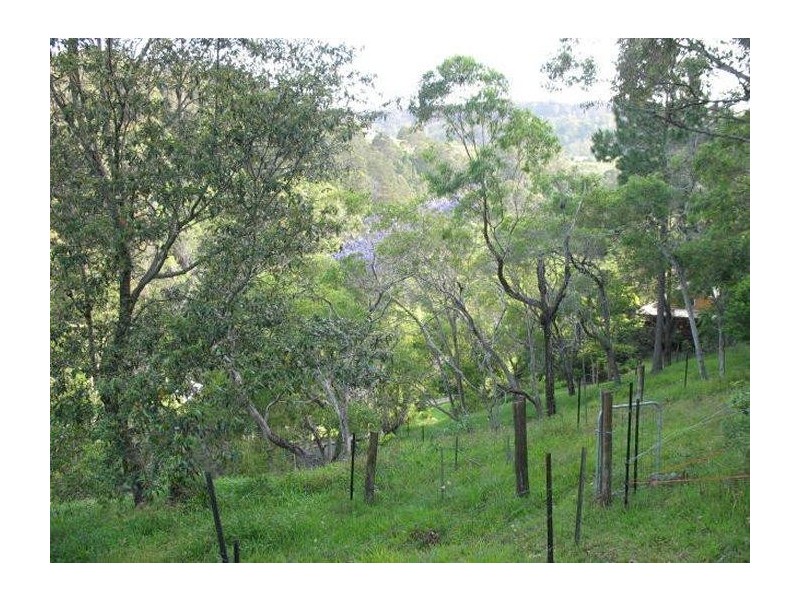 Mooloolah Valley QLD 4553