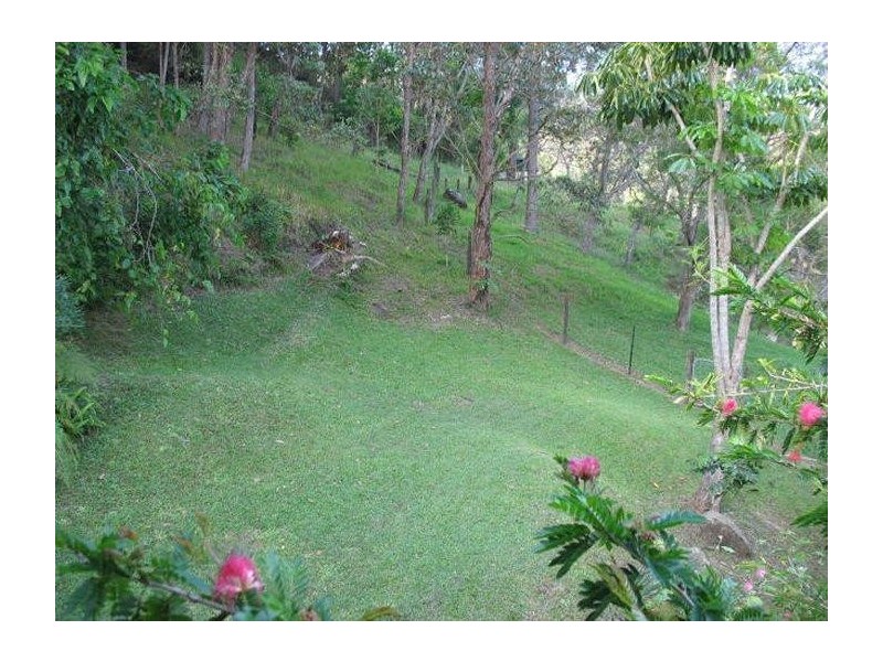 Mooloolah Valley QLD 4553