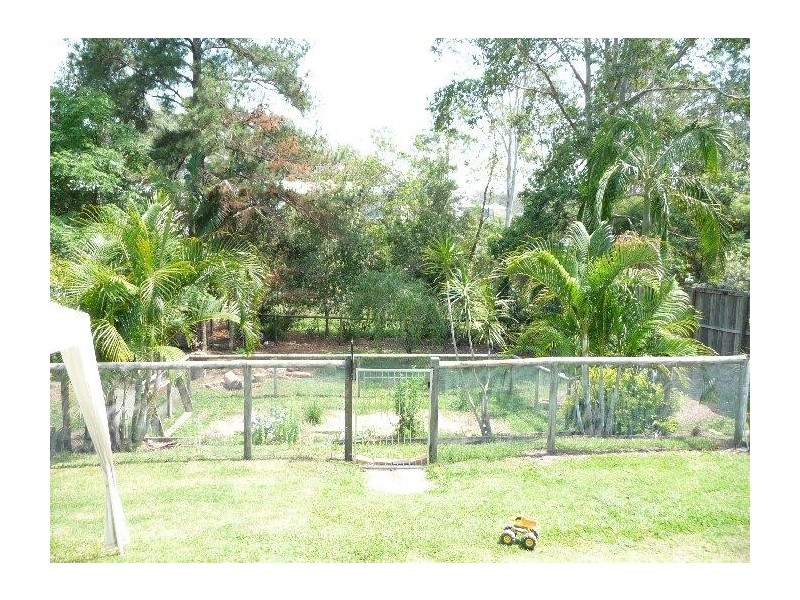 Mooloolah Valley QLD 4553