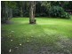Landsborough QLD 4550