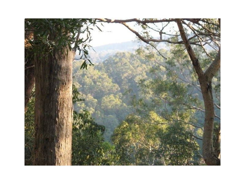 Landsborough QLD 4550