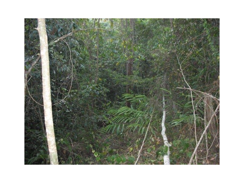 Landsborough QLD 4550