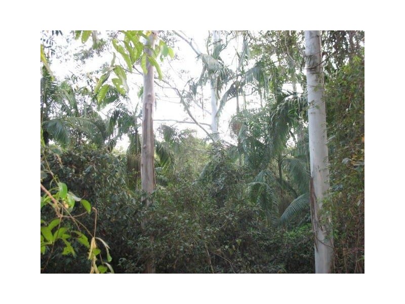 Landsborough QLD 4550