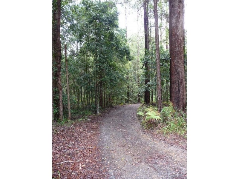 Peachester QLD 4519