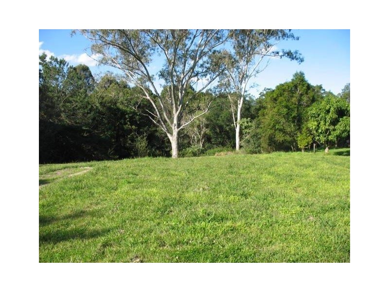 Mooloolah Valley QLD 4553