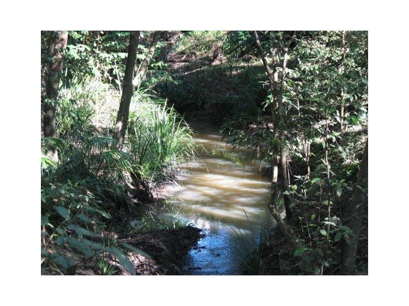 Mooloolah Valley QLD 4553