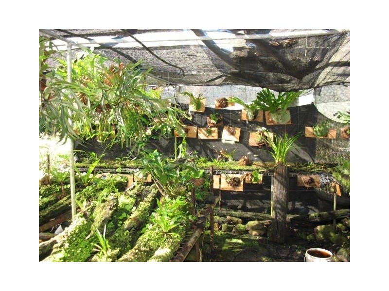 Diamond Valley QLD 4553