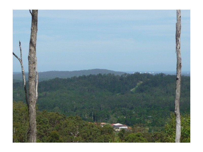 Mooloolah Valley QLD 4553