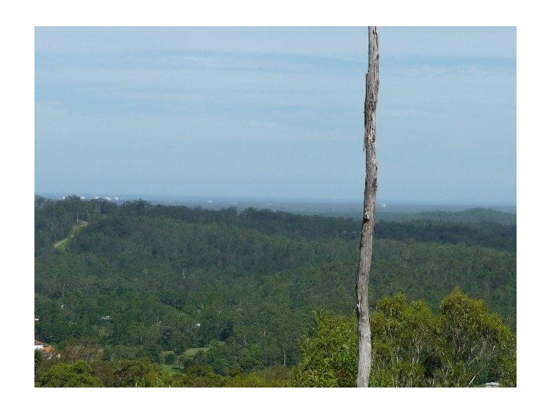 Mooloolah Valley QLD 4553