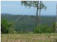 Mooloolah Valley QLD 4553