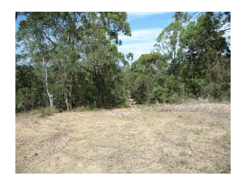 Mooloolah Valley QLD 4553