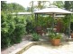 Mooloolah Valley QLD 4553