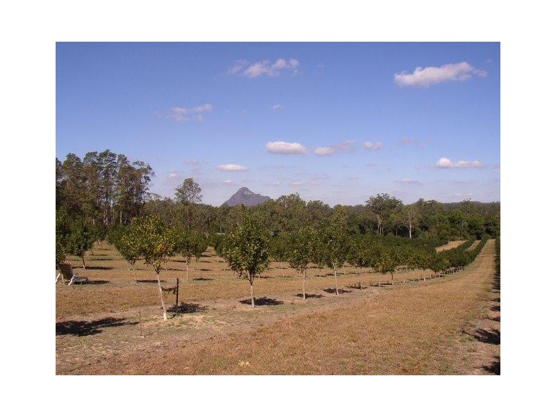 Peachester QLD 4519